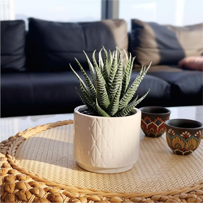 Artificial Succulent in Pot, 6.7'' Small Potted Fake Succulents Realistic Potted Plant for Home Office Desk Bathroom Boho Decoration Faux Mini Aloe Greenery for Shelf Aesthetic Decor Table Accessories