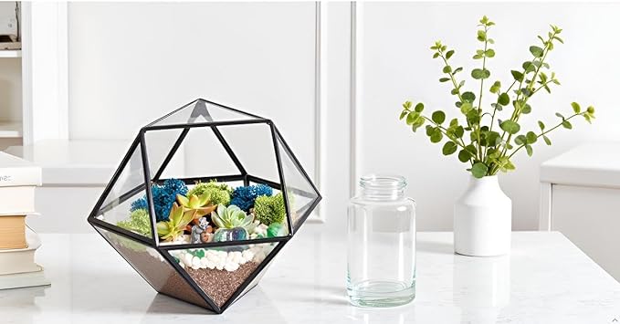 DIY 7" Geometric Terrarium Kit with Live Plants - Build Your Own Glass Terrarium for Adults & Kids with Moss, Crystals, Tools & Decor - Mini Ecosystem - Handcrafted in The USA