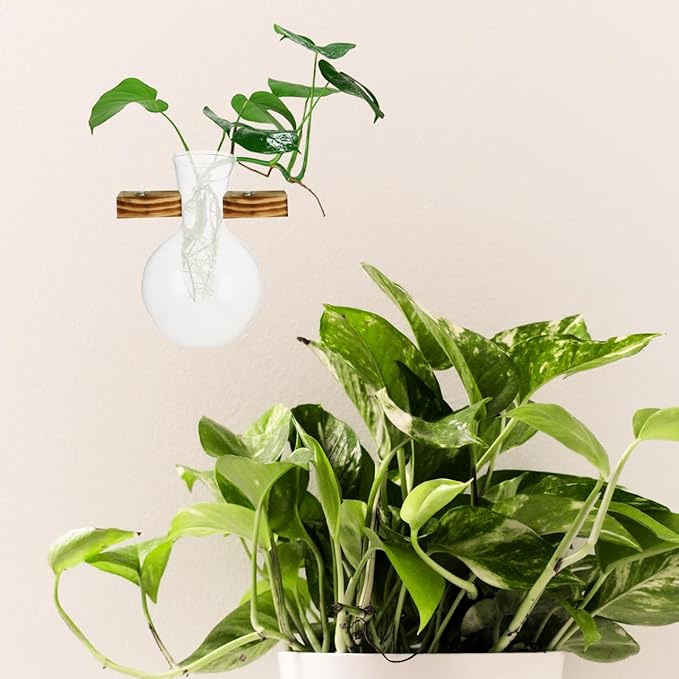 VOSAREA 3pcs Plant Propagation Station Vase Glass Plant Terrarium Hydroponic Vase Air Planter Bulb Succulent Pot Micro Landscape Vessel Desktop Decoration