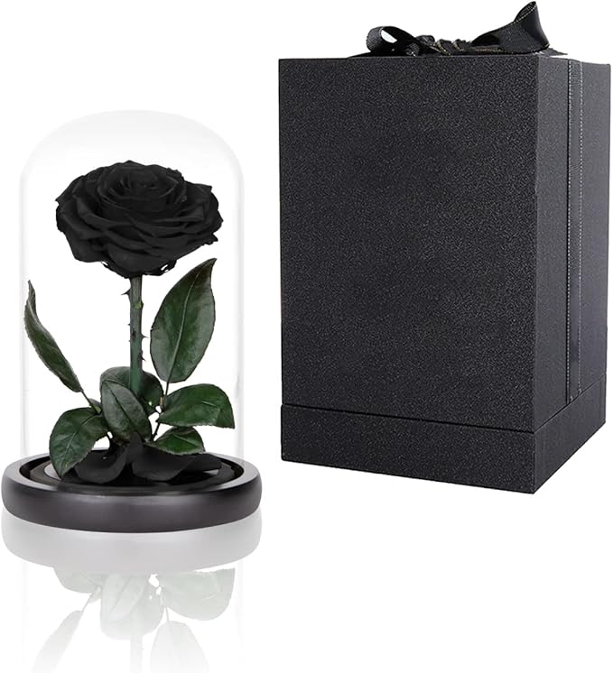 Preserved Roses Black Roses in Glass Dome, Medium, Preserved Flowers for Mothers Day, Gifts for Women