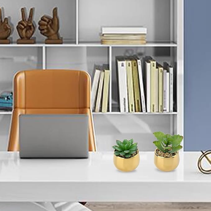 Briful Small Artificial Succulents in Pots Set of 2 Realistic Faux Succulents Plants with Gold Ceramic Pots Cute Mini Fake Plants Decor for Modern Home Table Office Desk Bathroom Shelf Decoration