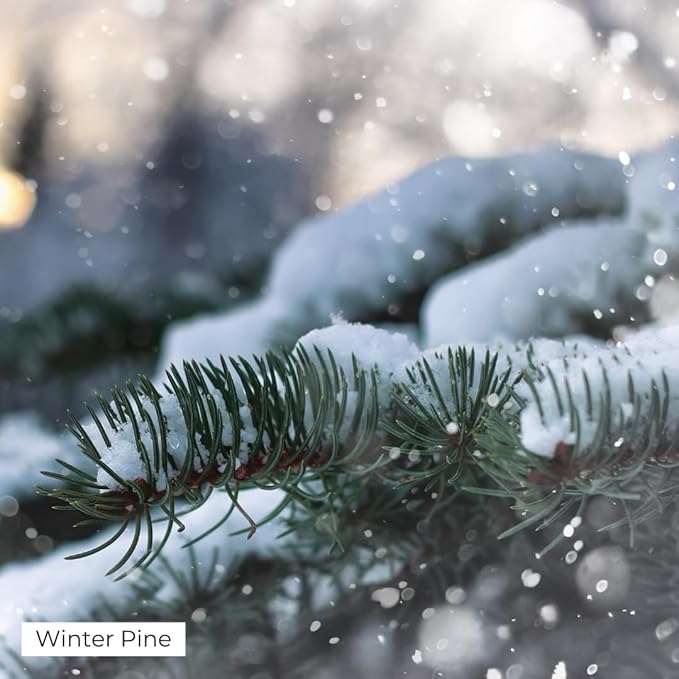 Winter Pine Aroma Oil, Christmas Essential Oil Blend for Diffusers & Scent Machines, Fresh Cut Pine & Fir Tree Fragrance, Cold-Air Diffuser Compatible, 100mL