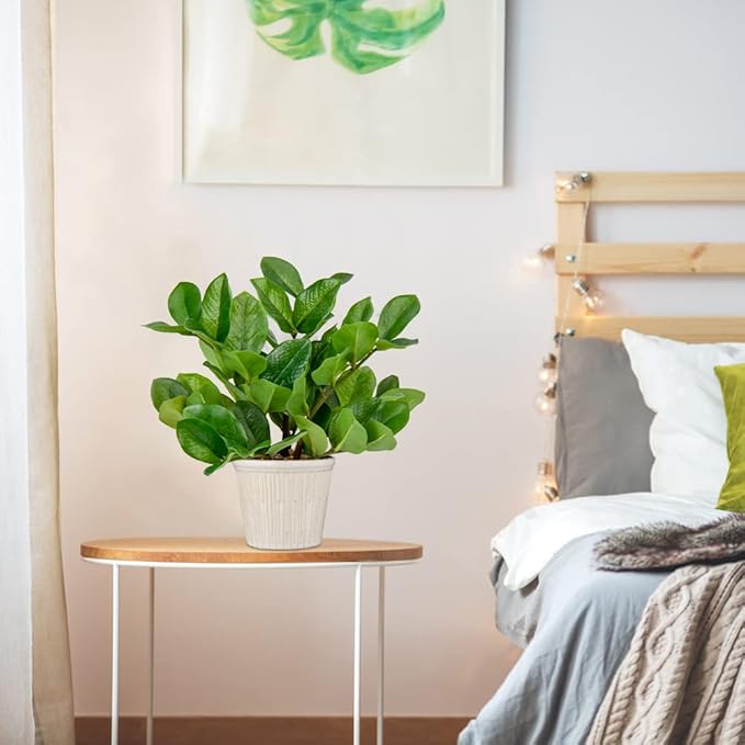 Briful Fake Plants 12'' Artificial ZZ Plants in Ceramic Pot Faux Zamioculcas Potted Silk Plants for Home Living Room Office Desk Decor Bedroom Aesthetic(1PACK)