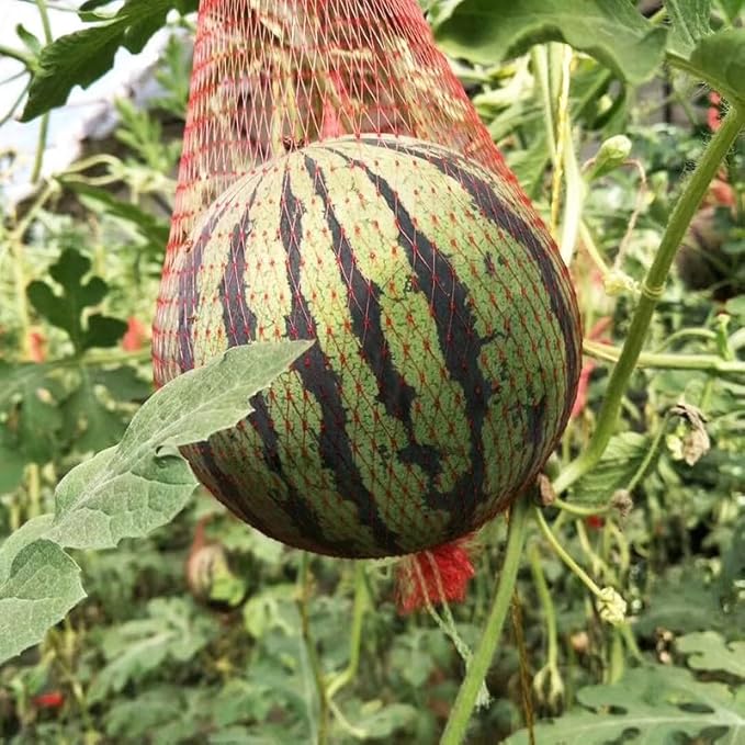 50 Pack Watermelon Net, Reusable Produce Mesh Bags Cradles for Hanging Watermelon, Honeydew Melon, Vegetables, Cucumbers