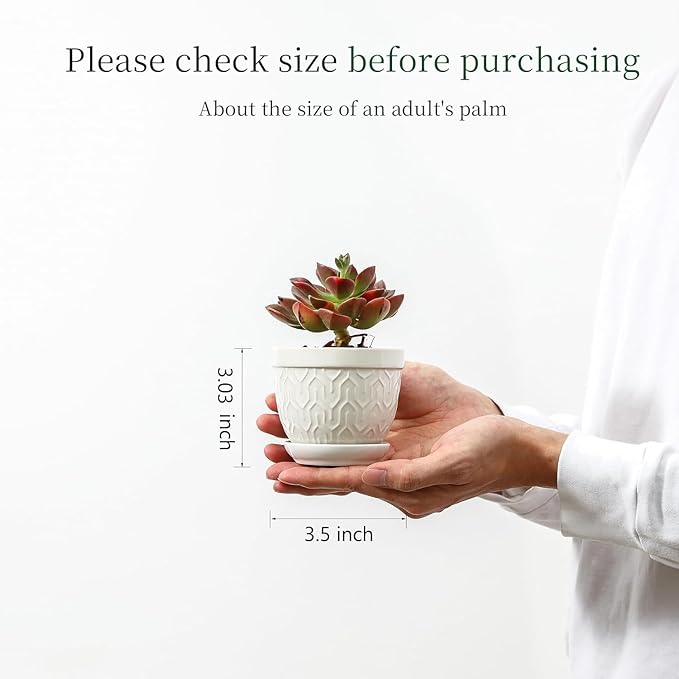 Sureasy Succulent Pots, 3.5 Inch Flower Pots for Indoor Plants, Small Plant Pots with Saucer & Drainage, Decorative Ceramic Planters for Succulent, Cactus, Set of 4, White