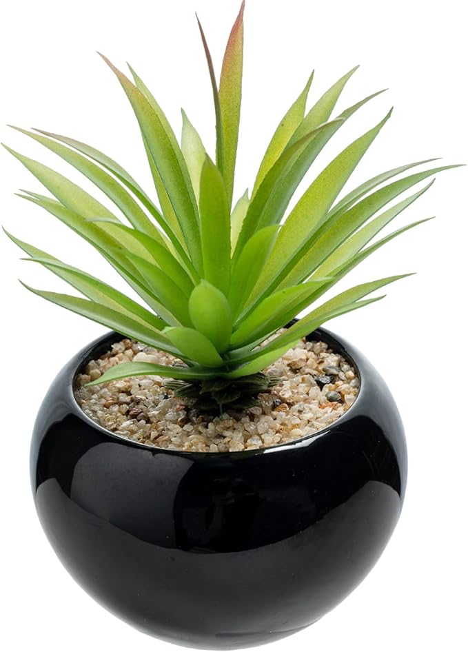 MyGift Mini Assorted Artificial Succulents in Round Black Ceramic Pots, Mixed Realistic Indoor House Plants, Set of 3