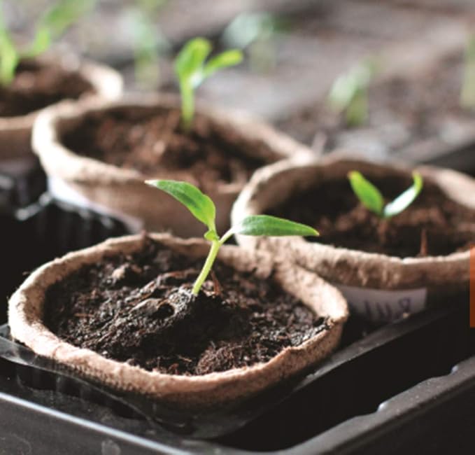 Biodegradable Peat Pots for seedlings, 100 Pack Plant Seed Starter Pots Kit, 2.36inch Succulent Planter Nursery Pots with 10 Plant Markers, Garden Germination Kits