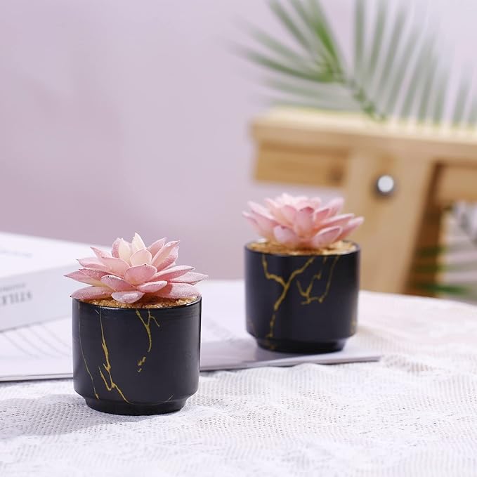 Succulent Artificial Plants,Cute Fake Succulents in 2 Black Ceramic Pots,Small Fake Plants for Office,Table,Desk,Bathroom, Bedroom,Aesthetic Room Shelves Decor,Desk Decorations for Women Office