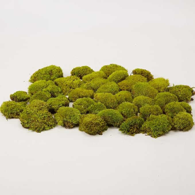 Preserved Pole Moss Pillow Bun Cushion Natural Green Decorative Real Natural Green DIY Kit Gardenning Art Wall Decor Florist Decor Easter Table Decor Wedding (1.5 sq.ft, Green-D)