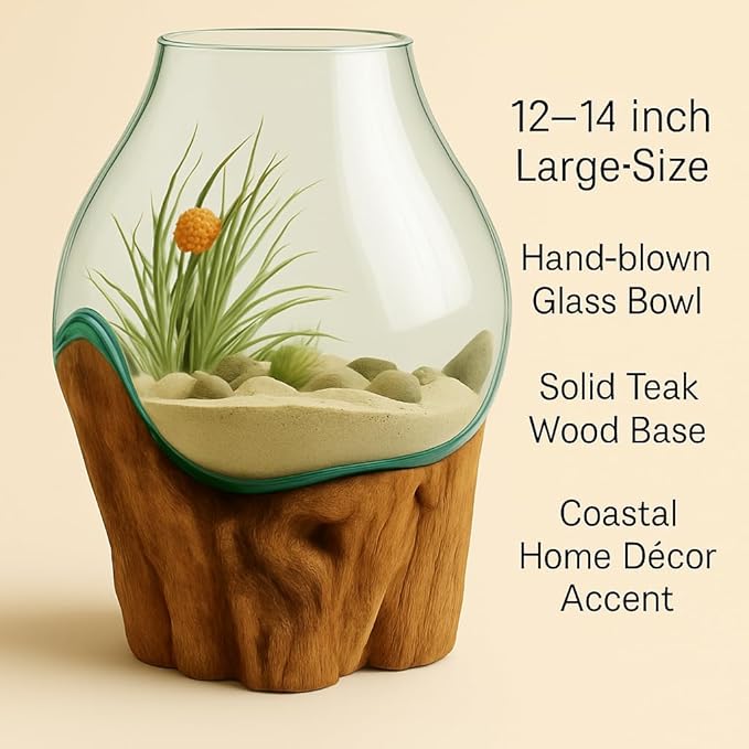 OMA Hand Blown Molten Glass on Driftwood Terrarium Vase or Planter – Recycled Glass & Natural Wood for Coastal & Boho Home Décor (12"–14" High)