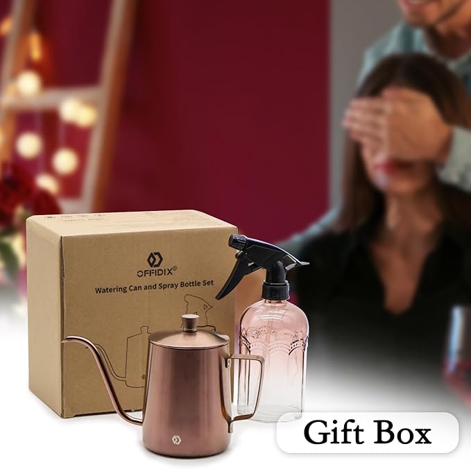 OFFIDIX Watering Can for Indoor Plants Long Spout Metal Stainless Steel 21 oz/600 ml Small Watering Can with 14 oz/400ml Glass Plant Mister Spray Bottle for Plants Bonsai