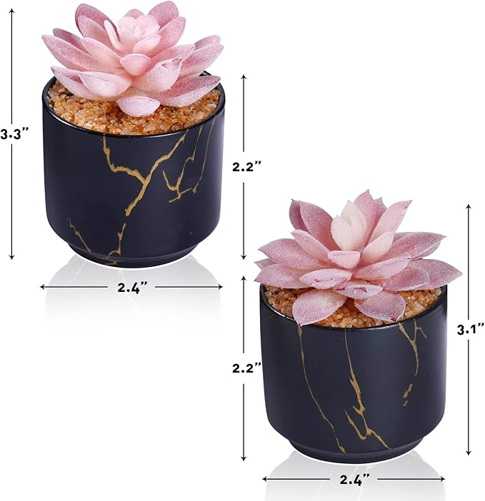 Succulent Artificial Plants,Cute Fake Succulents in 2 Black Ceramic Pots,Small Fake Plants for Office,Table,Desk,Bathroom, Bedroom,Aesthetic Room Shelves Decor,Desk Decorations for Women Office