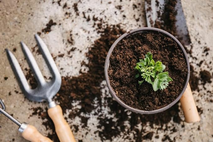 Premium Celery Potting Soil Mix - Optimal Nutrient-Rich Blend for Thriving and Crisp Celery Plants - 2 Quart