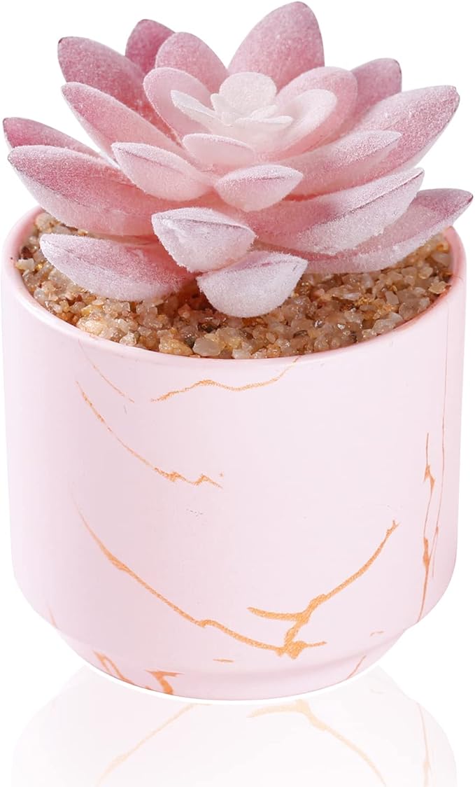 Succulent Artificial Plants,Cute Fake Succulents in 1 Pink Ceramic Pots,Small Fake Plants for Office,Table,Desk,Bathroom, Bedroom,Aesthetic Room Shelves Decor,Desk Decorations for Women Office