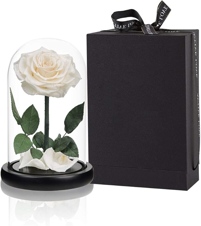 Preserved Roses White Roses Handmade Rose in Glass Dome, Preserved Flowers Never Withered Romantic Gifts for Her, Mother's Day, Birthday Gifts for Women (9 inch)