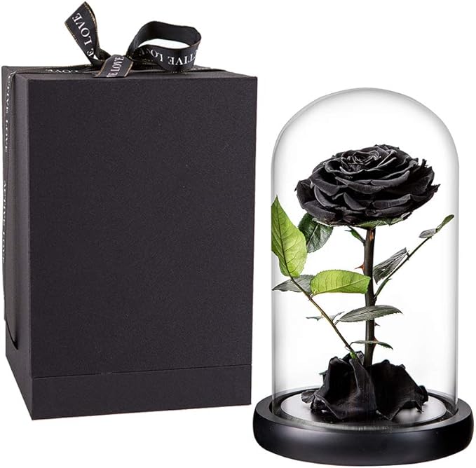 Preserved Roses Black Roses Handmade Real Rose in Glass Dome, Preserved Roses Never Withered Romantic Gifts for Her, Mother's Day, Birthday Gifts for Women (9 inch, Black)