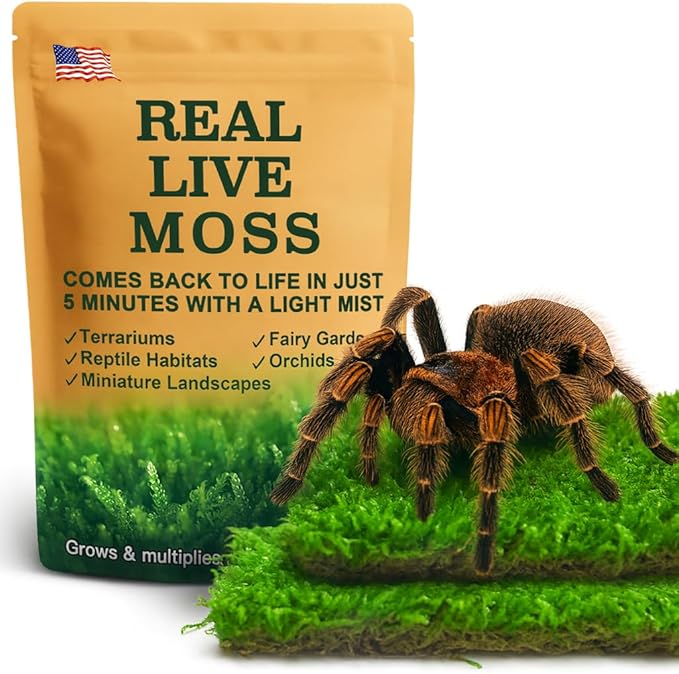 Real Live Moss Variety Pack (Each 3.5"x7"), Decorative Real Moss for Terrariums, Mini Gardens, Potted Plants & Bonsai – Naturally Grown, Reusable, Not Artificial