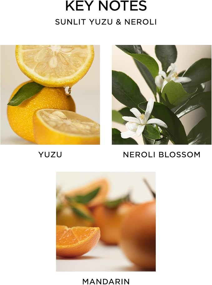 NEST New York Reed Diffuser, Sunlit Yuzu & Neroli - 5.9 fl oz - Fragrance for Up to 90 Days - Reusable, Refillable Glass Holder - Includes 8 All-Natural Reed Sticks - Flame Free