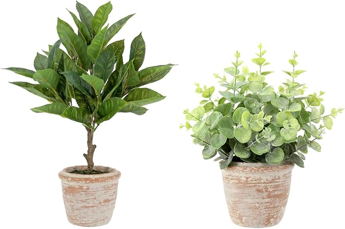 Faux Eucalyptus & Citrus Topiary, Set-of-2 Premium Artificial Indoor Plants, Enhances Interior Design, Lifelike-Leaves Create Realistic Natural Appearance, Grey Planter Pot Included