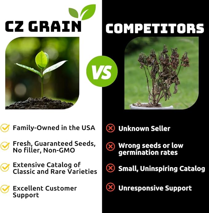 Chinese Wisteria Bonsai Tree Seedling for Planting - 1 Year Old Well Rooted Seedling