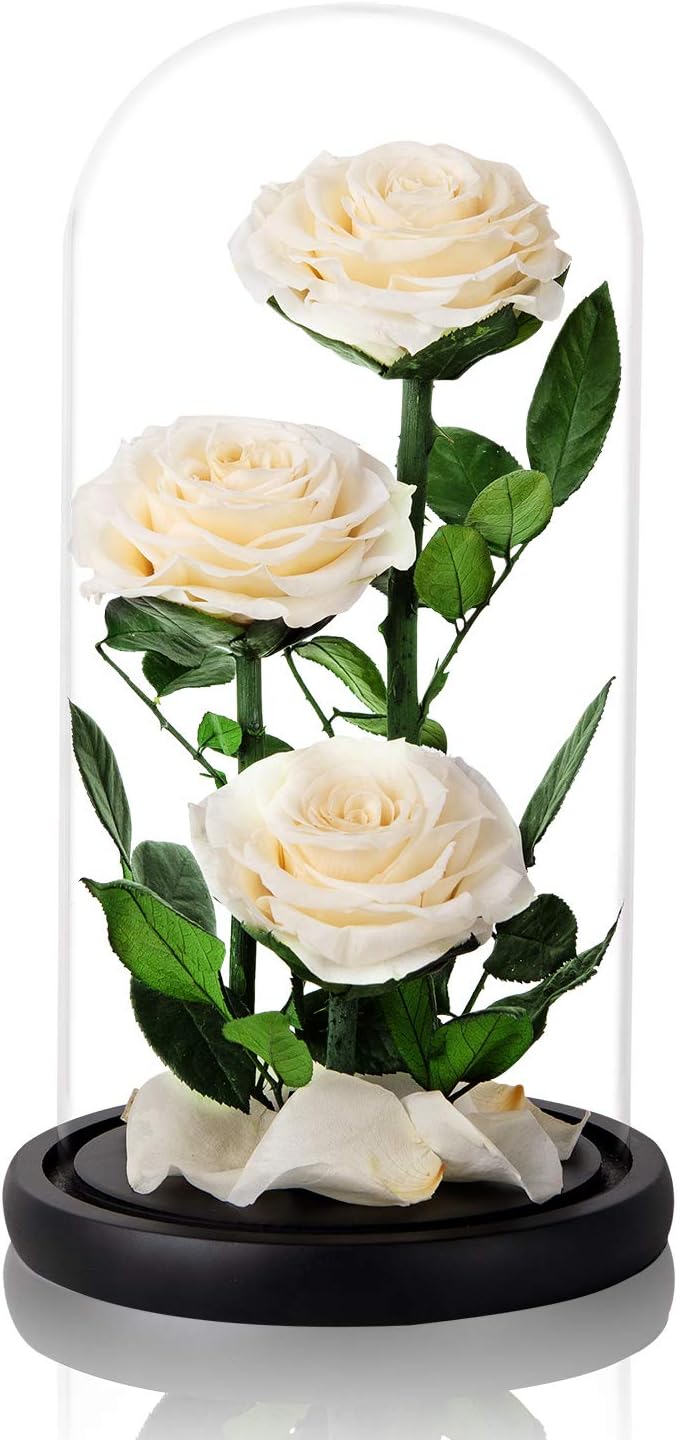 White Roses Handmade Preserved Rose in Glass Dome, Preserved Flowers Never Withered, Birthday Gifts for Women (13 inch)