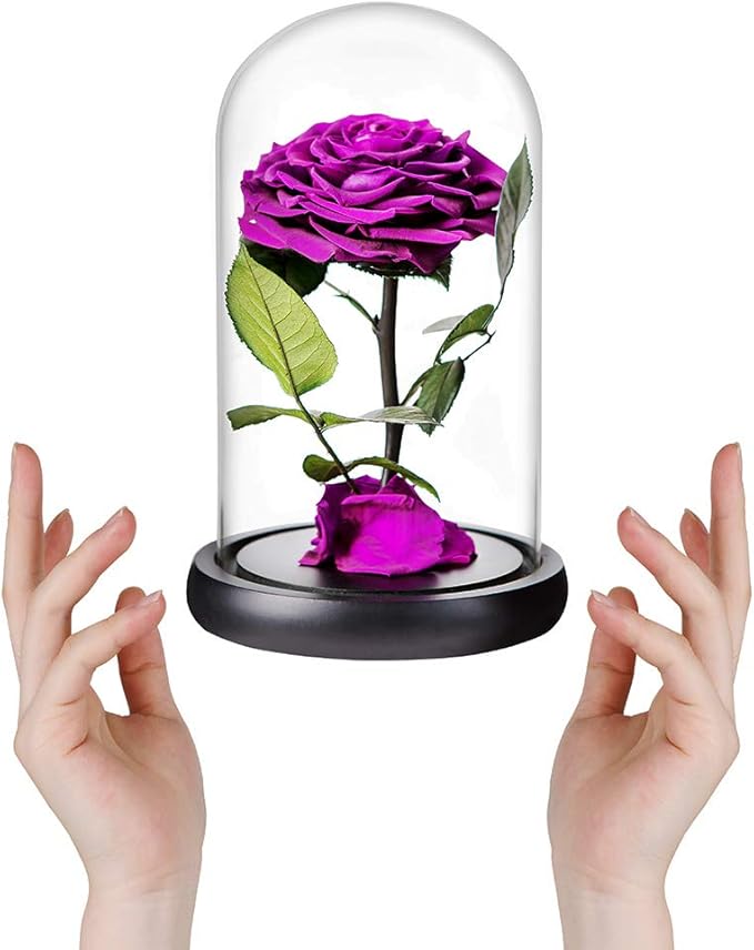 Purple Roses Handmade Rose in Glass Dome, Preserved Flowers Never Withered Romantic Gifts for Her, Mother's Day, Birthday Gifts for Women (9 inch, Purple)
