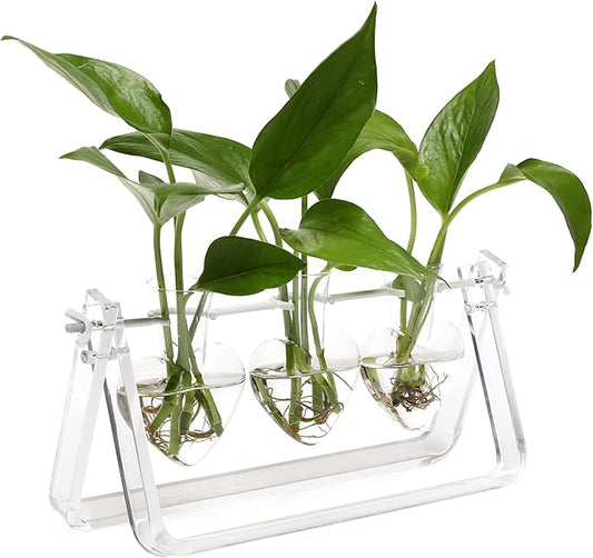 Clear Plant Terrarium Propagation Stations with Acrylic Stand Birthday Gifts for Women Office Home Decor