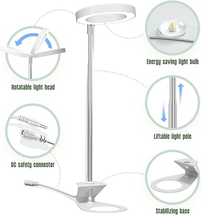 GLOWRIUM Grow Lights for Indoor Plants, LED Full Spectrum Growing lamp, 10 Level Dimmable, 3/9/12H Timer, 9-24 Inches Height Adjustable, Suit for Desk Succulents Mini Small Plants (White-Desk Style)