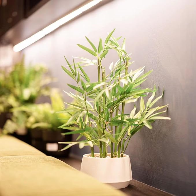 365 Blooming Decor 18 Inch Tall White Potted Faux Bamboo Plant - Luxury Artificial Bamboo in White Pot for Home, Office, Kitchen, Counter Top, Indoor Decor, Money Tree, Lucky Tree