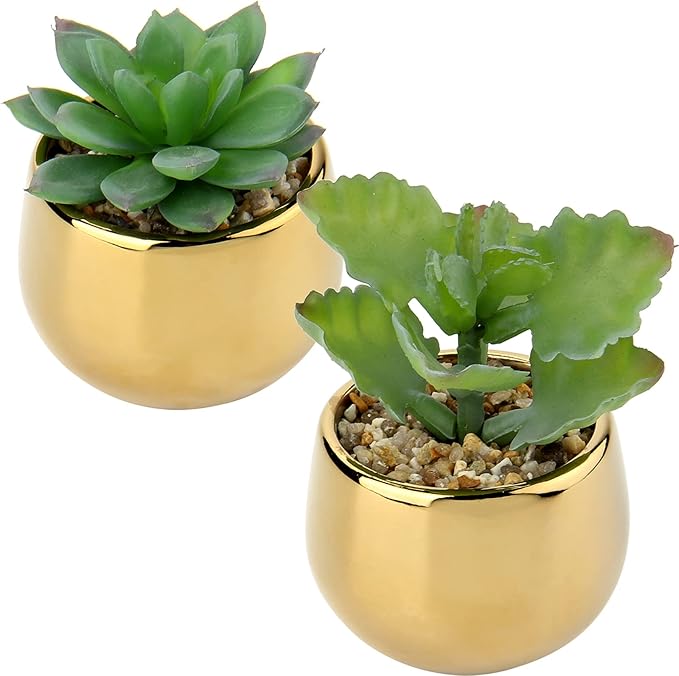 Briful Small Artificial Succulents in Pots Set of 2 Realistic Faux Succulents Plants with Gold Ceramic Pots Cute Mini Fake Plants Decor for Modern Home Table Office Desk Bathroom Shelf Decoration