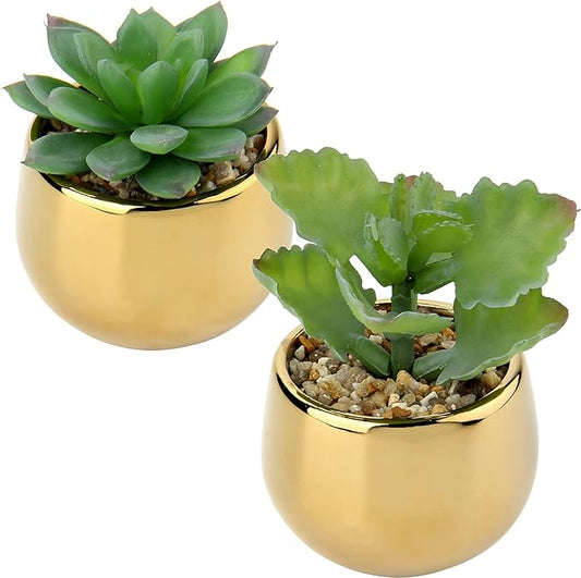 Briful Small Artificial Succulents in Pots Set of 2 Realistic Faux Succulents Plants with Gold Ceramic Pots Cute Mini Fake Plants Decor for Modern Home Table Office Desk Bathroom Shelf Decoration
