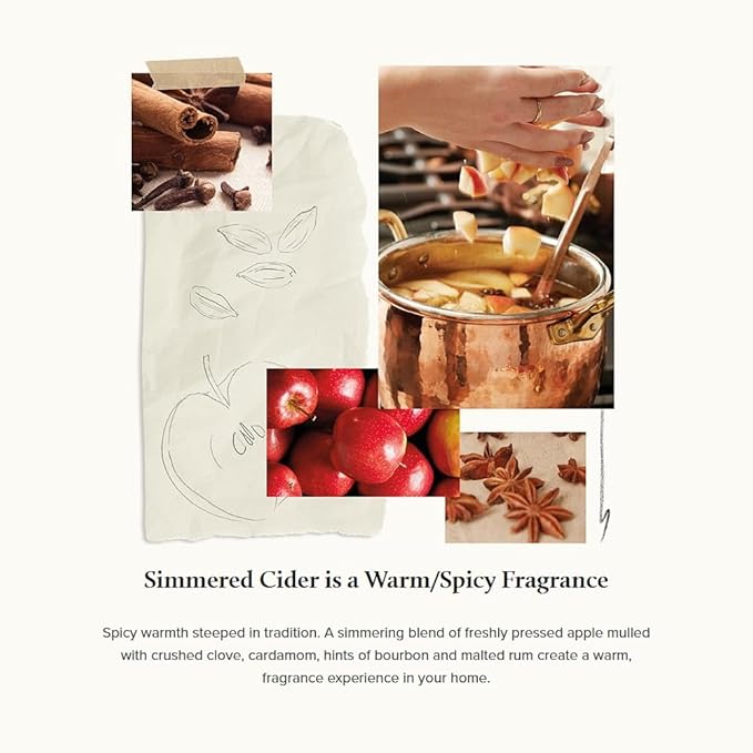 Thymes Petite Oil Reed Diffuser Set – Includes Reed Diffuser Sticks, Fragrance Oil, & Glass Bottle – Luxury Home Decor – Fall Decor – Fall Scents – Rose Gold (Simmered Cider, 4 fl oz)