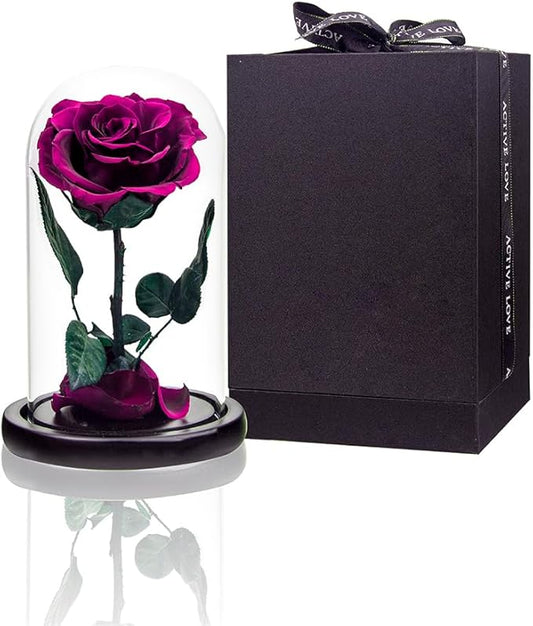 Preserved Roses Purple Roses in Glass Dome, Medium, Preserved Flowers for Women