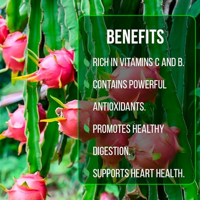 Dragon Fruit Edgar's Baby (4 Pack) | Real Live Fruit Plants for Sale | Rare Exotic Variety | Sweet Edible Fruit | Easy to Grow Live Plants for Organic Gardens. (Edgar's Baby)