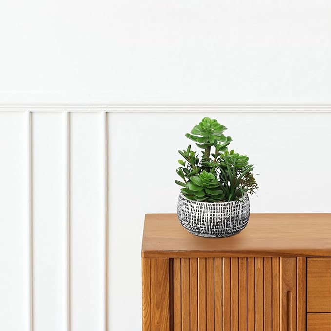 10” Large Succulents Plants Artificial in Ceramic Pots Potted Faux Succulent Arrangement with Black Bowl Pots Fake Desk Succulents Plants for Home Bathroom Shelf Table Indoor Decor
