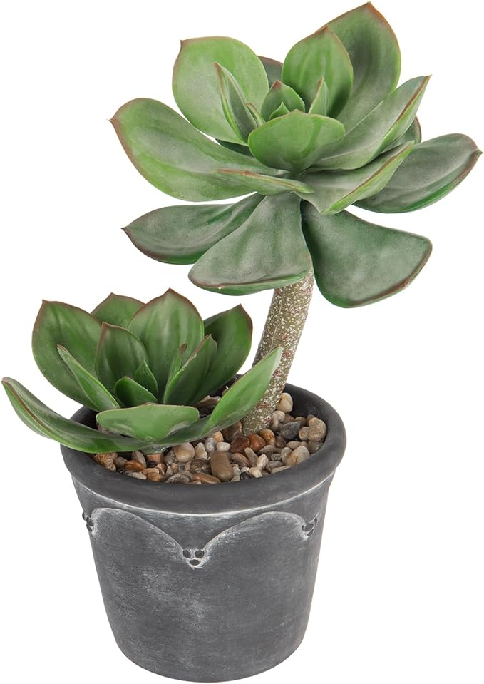 Hollyone Large Artificial Succulent Plants Fake Two-Head Succulents Agave Plant Potted 13" Faux Plant in Vintage Cement Pot Succulent Aloe Indoor for Home Office Living Room Table Shelf Decor