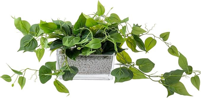 MyGift Artificial Pothos Plants Indoor, Fake Green Leaves Potted in 8 Inch Clear Glass Planter Box with White Pebbles, Faux Greenery Vines Table Centerpiece Home Decor