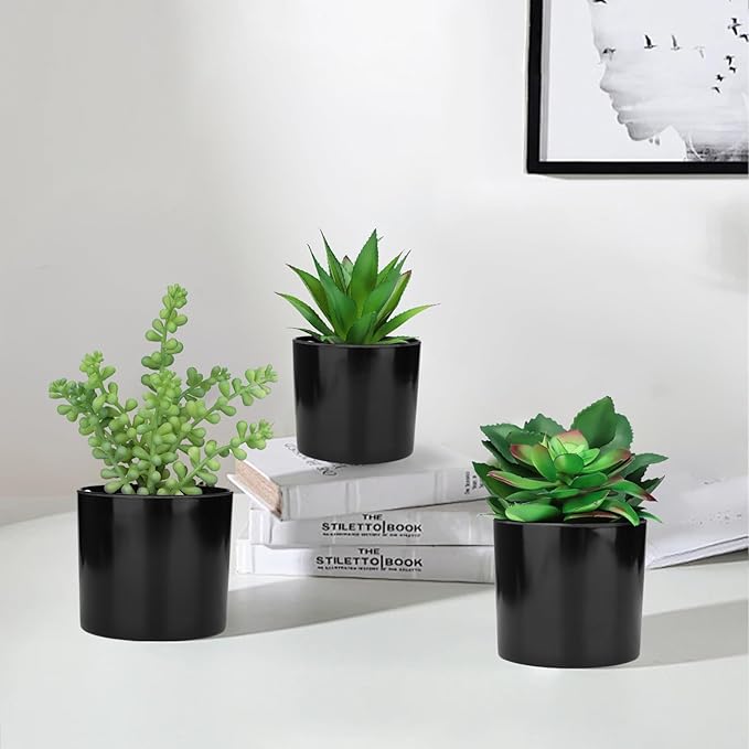 Hopewood Artificial Succulents Faux Potted Plant Decor, Small Fake Plants in Black Pot, Realistic and Lifelike for Book Shelf, Desk Decor, Home Office, Kitchen, or Bathroom Decor - Pack of 3