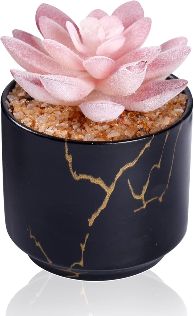 Succulent Artificial Plants,Cute Fake Succulents in 1 Black Ceramic Pots,Small Fake Plants for Office,Table,Desk,Bathroom, Bedroom,Aesthetic Room Shelves Decor,Desk Decorations for Women Office