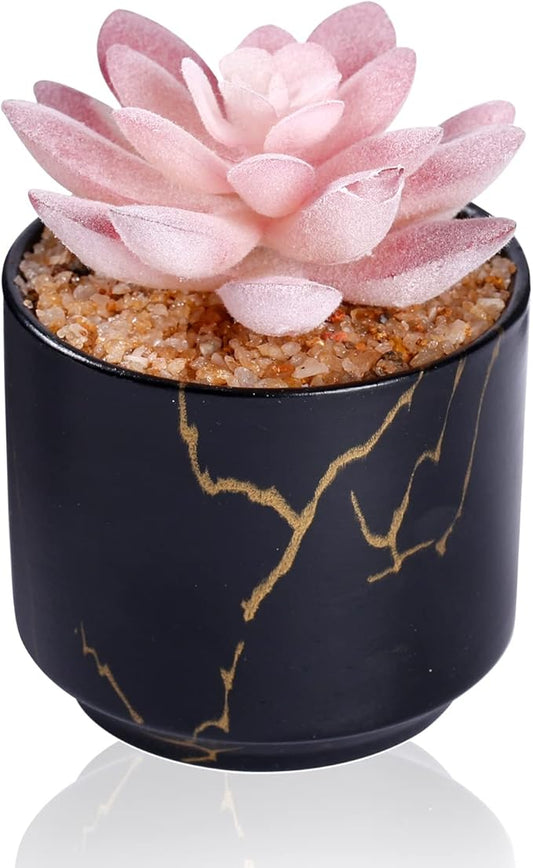 Succulent Artificial Plants,Cute Fake Succulents in 1 Black Ceramic Pots,Small Fake Plants for Office,Table,Desk,Bathroom, Bedroom,Aesthetic Room Shelves Decor,Desk Decorations for Women Office