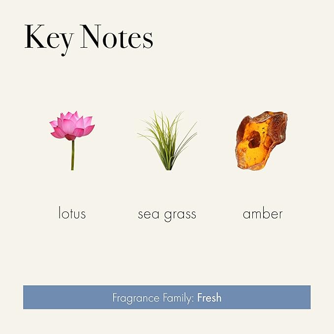 LAFCO New York Signature Reed Diffuser, Sea & Dune - 15 oz - Up to 9 Months Fragrance Life - Reusable, Hand Blown Glass Vessel - Natural Wood Reeds - Made in The USA