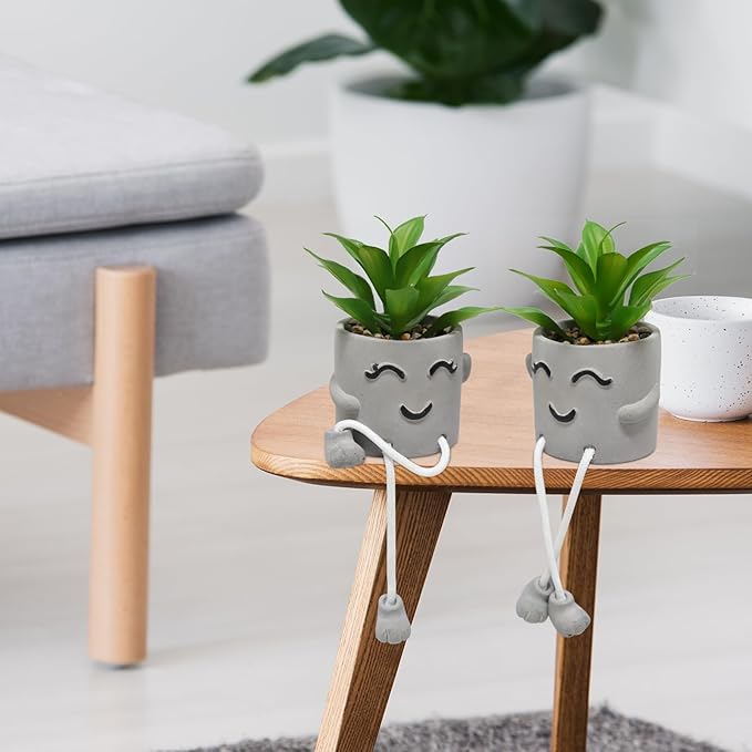 2PCS Fake Succulents, Artificial Plants Bathroom Decor, Mini Plants Shelf Decor, Small Desk Plant for Home Decor, Cute Faux Plants Office Decor, Fake Plants for Women Desk