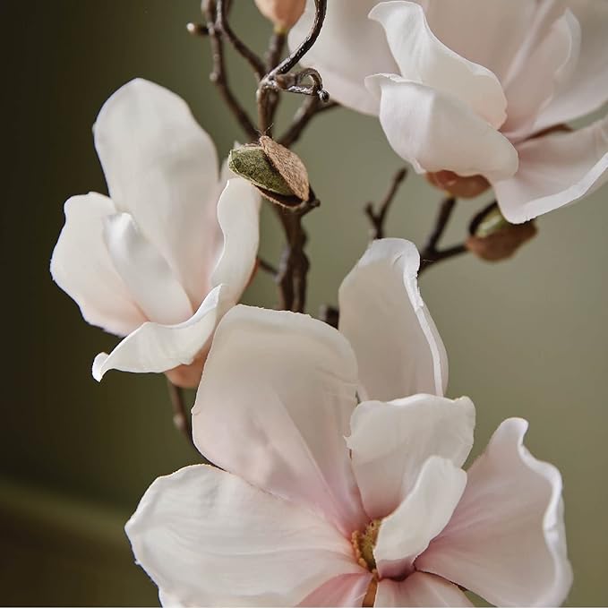 Thymes Petite Reed Diffuser - Magnolia Willow - 4.0 Fl Oz