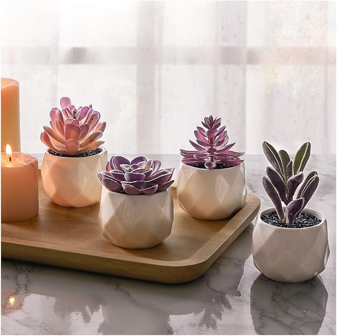CADNLY Fake Succulent Plant Set - Artificial Desk Plants for Women Desk - Realistic Faux Succulents in Ceramic Pots - Mini Purple Decor for Bedroom Bathroom Office Shelf 4 Pack