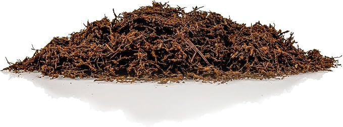 Premium New Zealand Tree Fern by GARDENERA - Orchid and Epiphytal Plants Growing Medium and Reptile Substrate - 4 Quart Bag