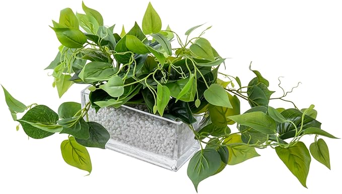 MyGift Artificial Pothos Plants Indoor, Fake Green Leaves Potted in 8 Inch Clear Glass Planter Box with White Pebbles, Faux Greenery Vines Table Centerpiece Home Decor