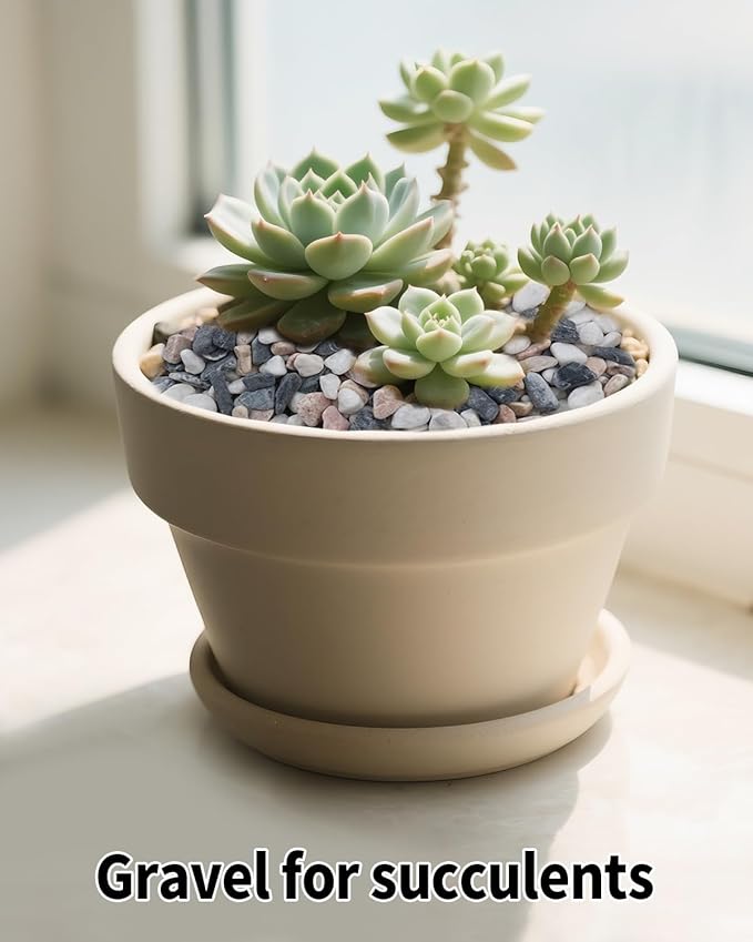 12LB Succulent & Cactus Gravel Pebbles,1/4-3/8 Inch Natural Polished River Rocks Decorative Stones for Succulent Planters,Cactus Pots,Vases,Aquariums,Outdoor Gardening Mixed Colors