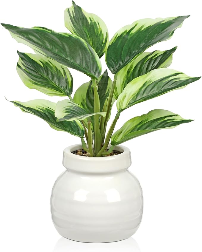 Small Fake Plants Indoor 11 Inch Potted Plant Artificial Decor 10 Leaves Faux Plant with White Ceramic Pot Silk House Plants for Home Office Bathroom Kitchen Farmhouse Table Centerpieces Shelf Decor