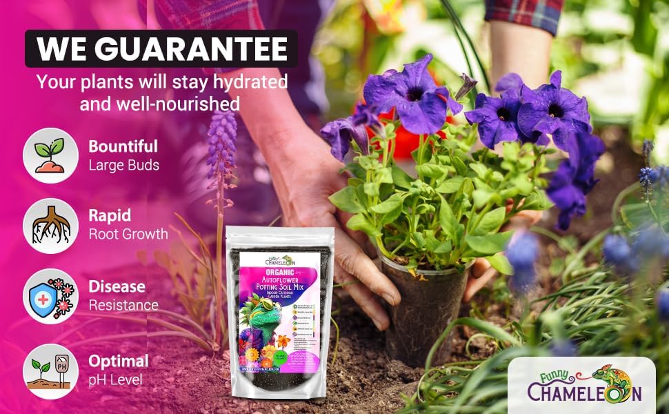 Organic Autoflower Potting Soil Mix – Ready-to-Use Living Soil, No Fertilizers Needed – Balanced Nutrients, Light Texture, Excellent Drainage, Boosts Germination & Root Growth (4 QUARTS)