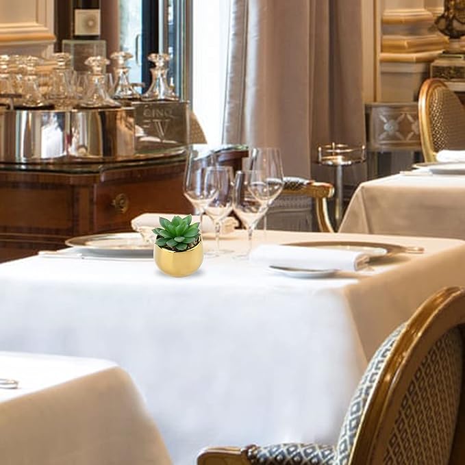 Briful Small Artificial Succulents in Pots Set of 2 Realistic Faux Succulents Plants with Gold Ceramic Pots Cute Mini Fake Plants Decor for Modern Home Table Office Desk Bathroom Shelf Decoration